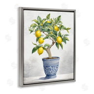 Kim Allen | Traditional Potted Lemon Tree