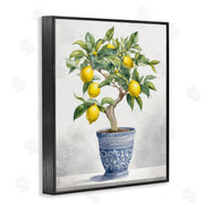 Kim Allen | Traditional Potted Lemon Tree