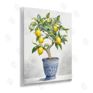 Kim Allen | Traditional Potted Lemon Tree