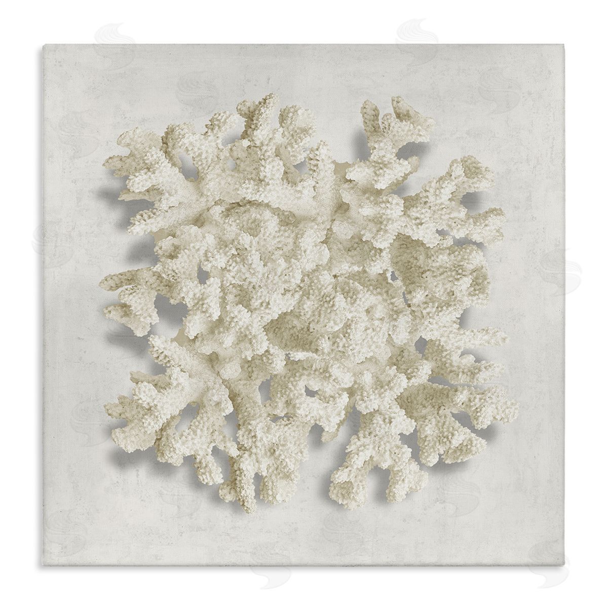 Aquatic Neutral Coral Canvas Wall Art, Home Decor by Caroline Kelly