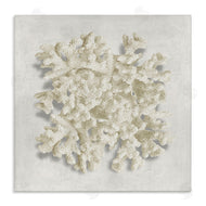 Caroline Kelly | Aquatic Neutral Coral