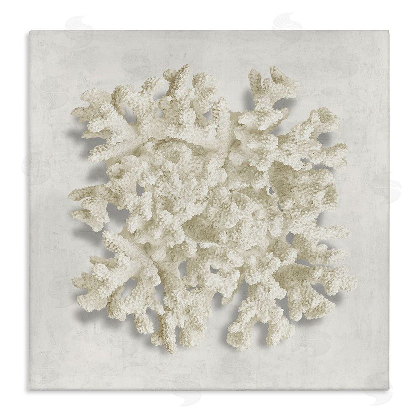 Caroline Kelly | Aquatic Neutral Coral