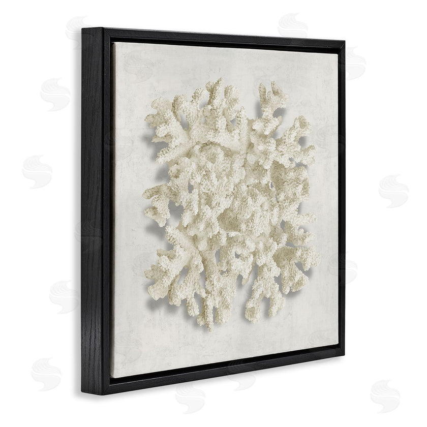 Caroline Kelly | Aquatic Neutral Coral