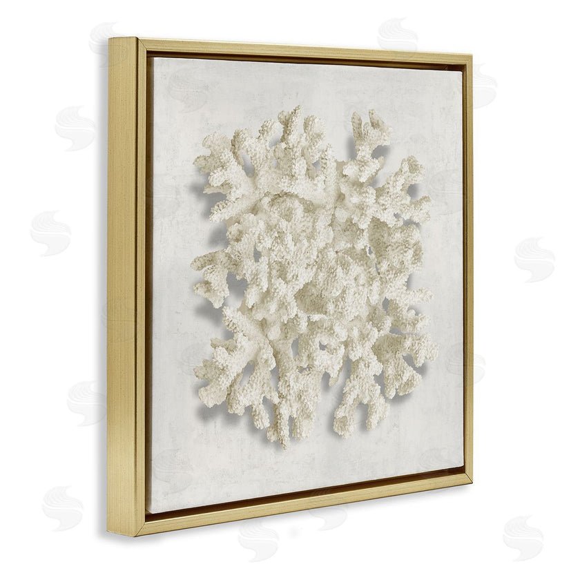 Caroline Kelly | Aquatic Neutral Coral
