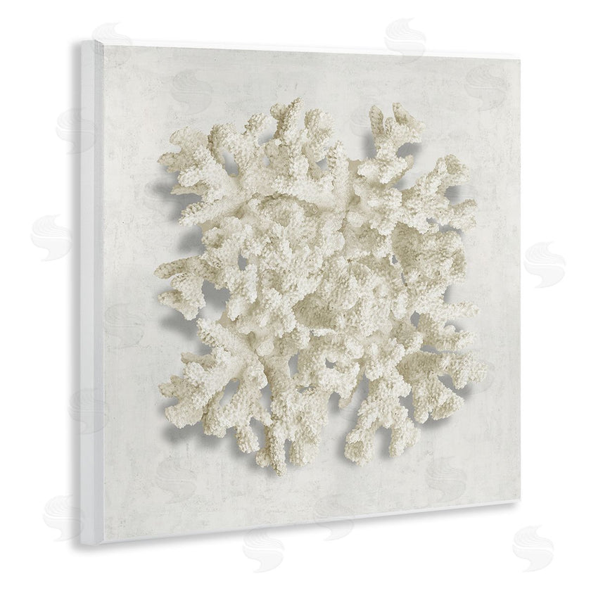 Caroline Kelly | Aquatic Neutral Coral