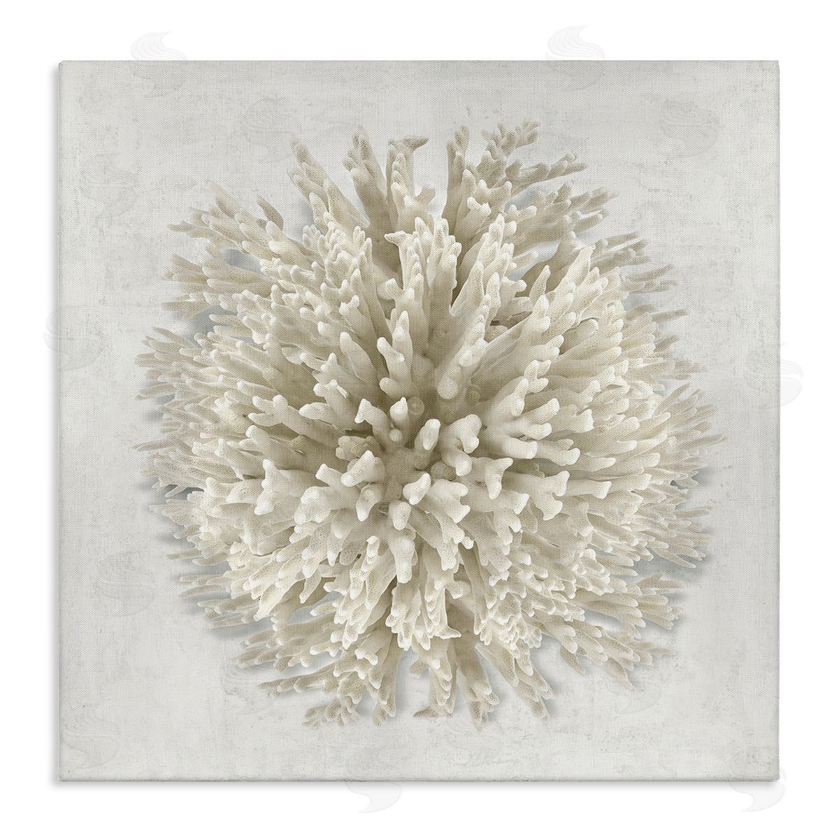 Natural Round Coral Canvas Wall Art, Home Decor by Caroline Kelly