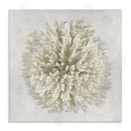 Caroline Kelly | Natural Round Coral