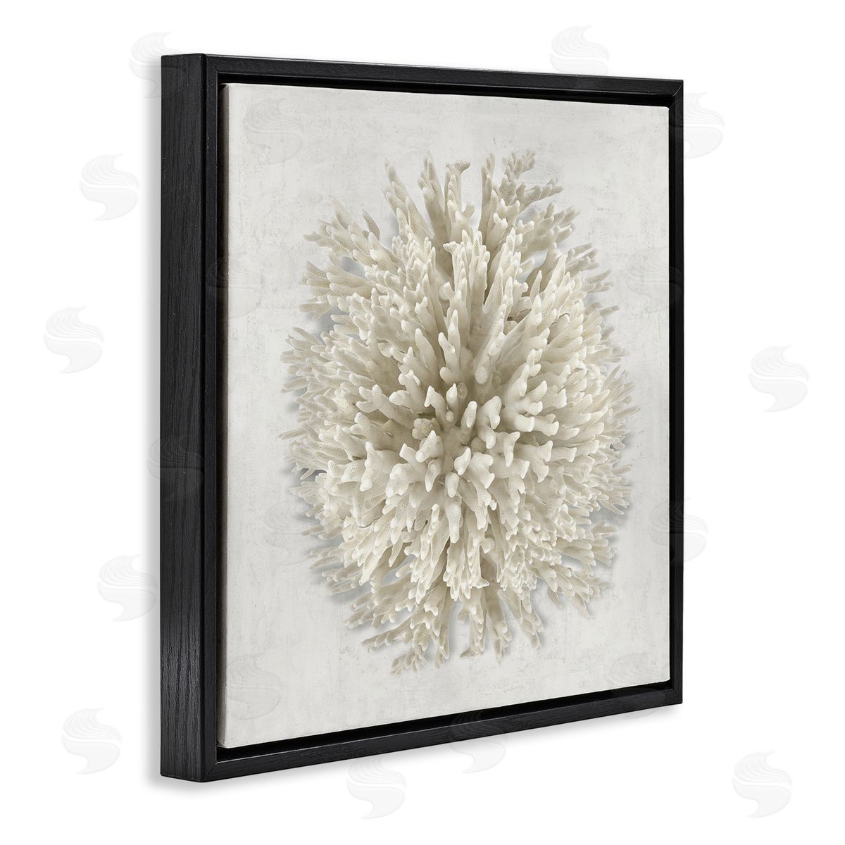 Natural Round Coral Black Floating Frame Canvas Wall Art, Home Decor by Caroline Kelly