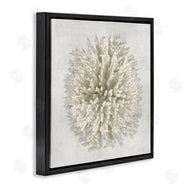 Caroline Kelly | Natural Round Coral