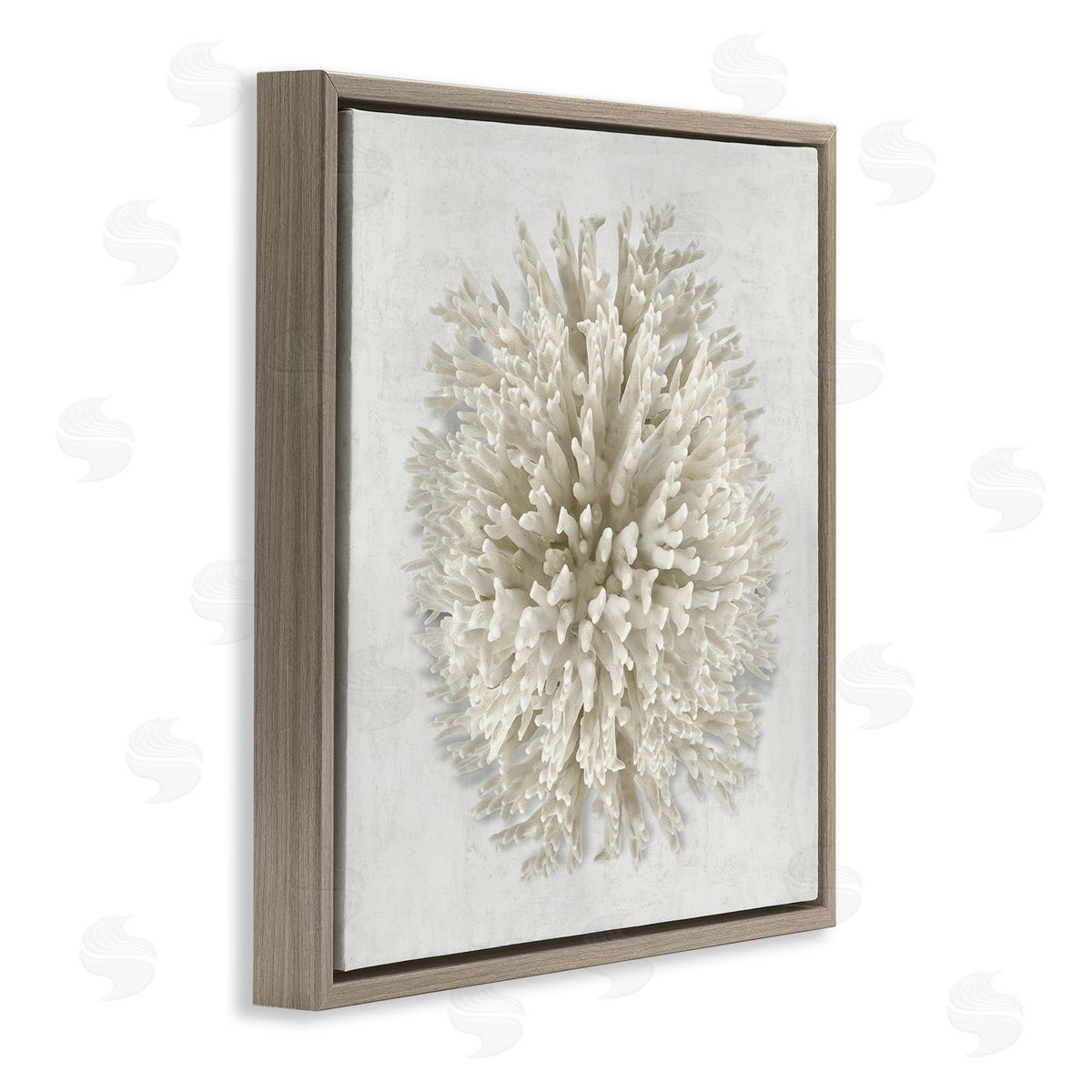 Natural Round Coral Brown Floating Frame Canvas Wall Art, Home Decor by Caroline Kelly