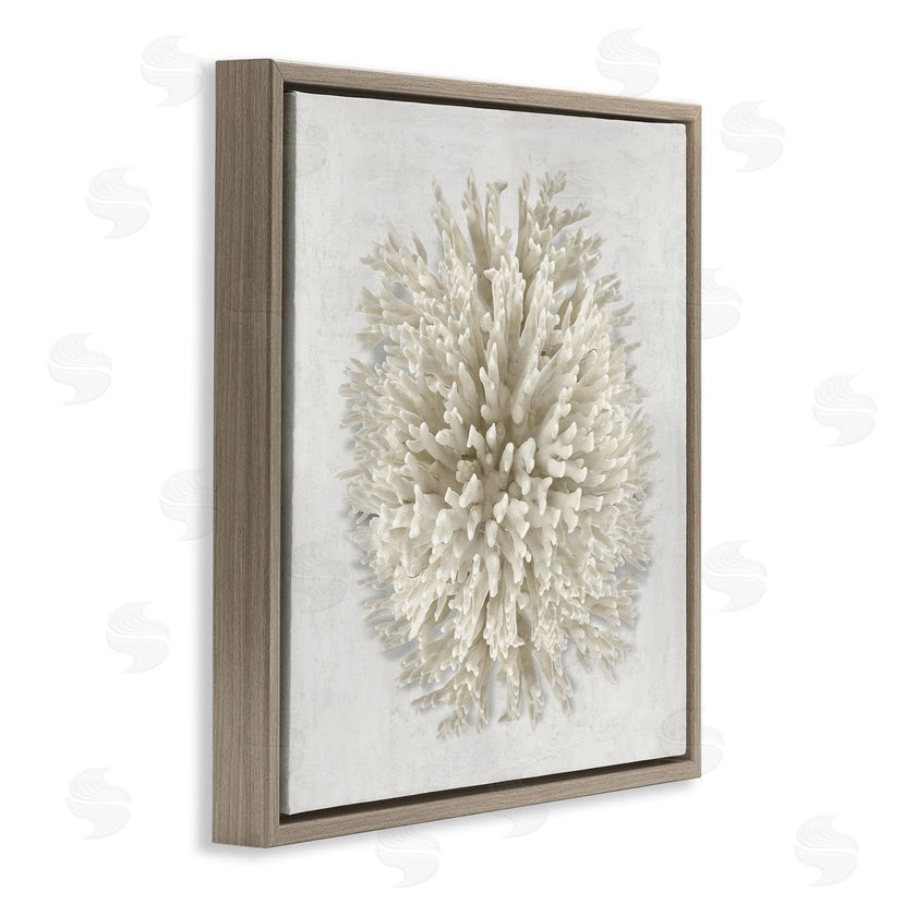 Caroline Kelly | Natural Round Coral