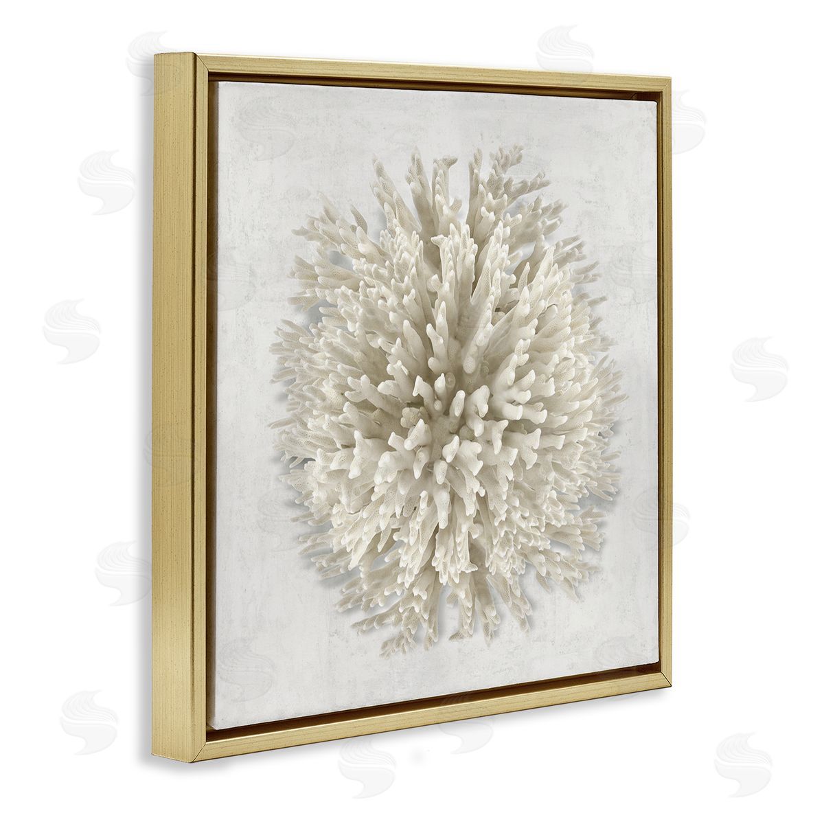 Natural Round Coral Gold Floating Frame Canvas Wall Art, Home Decor by Caroline Kelly