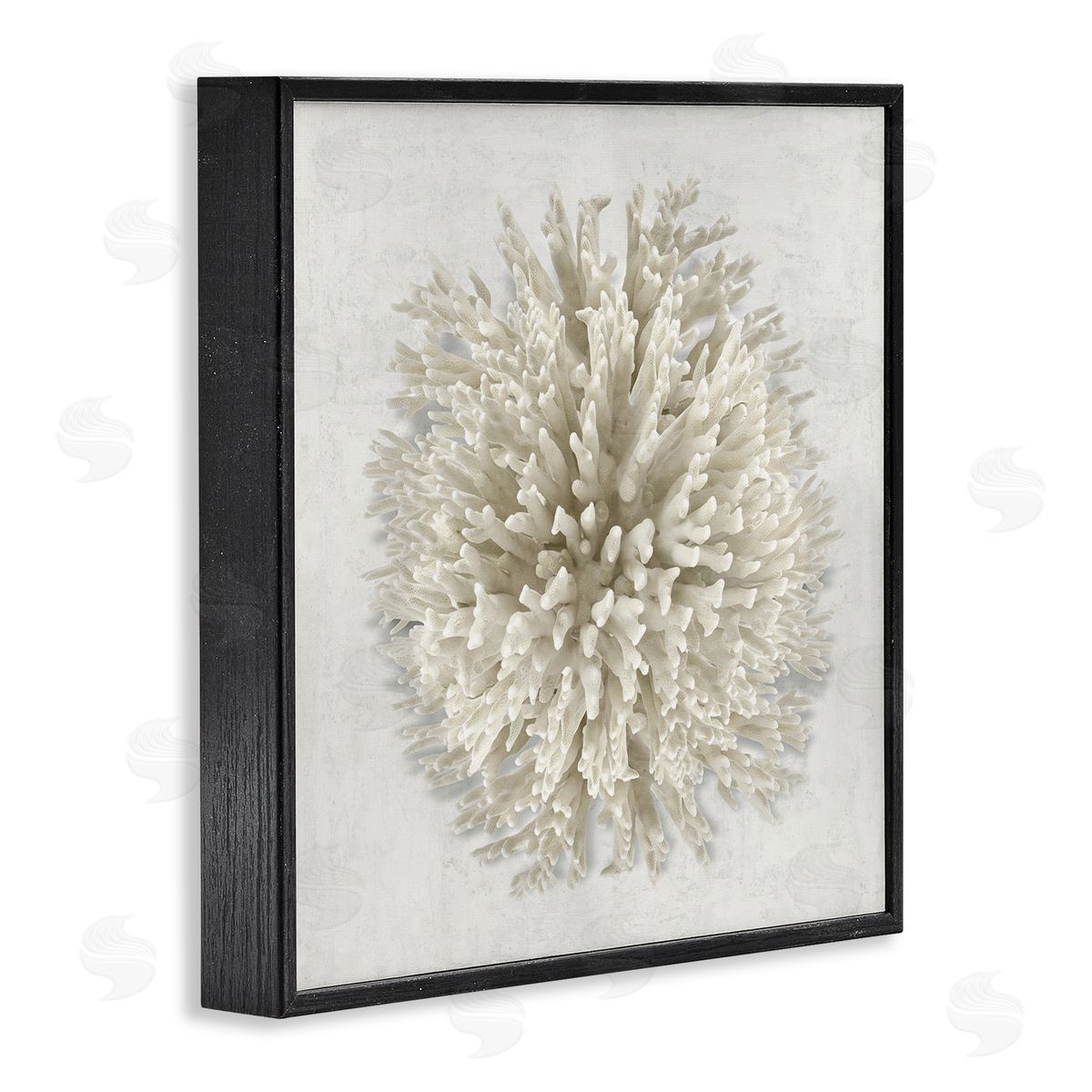 Natural Round Coral Black Frame Print Wall Art, Home Decor by Caroline Kelly