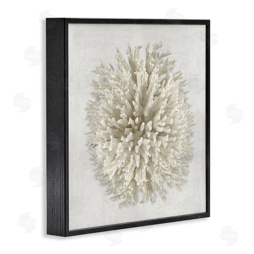 Caroline Kelly | Natural Round Coral