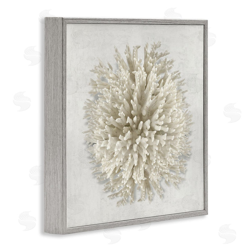 Caroline Kelly | Natural Round Coral