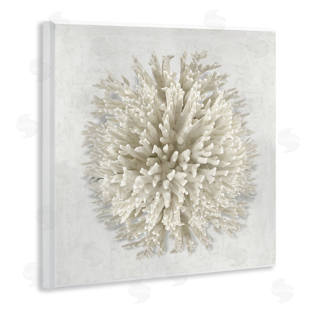 Natural Round Coral Wood Plaque Wall Art, Home Decor by Caroline Kelly
