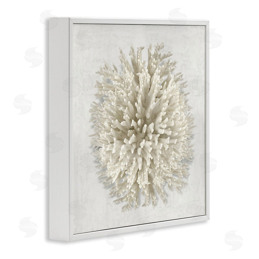 Caroline Kelly | Natural Round Coral