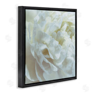David Pollard | Elegant White Petals