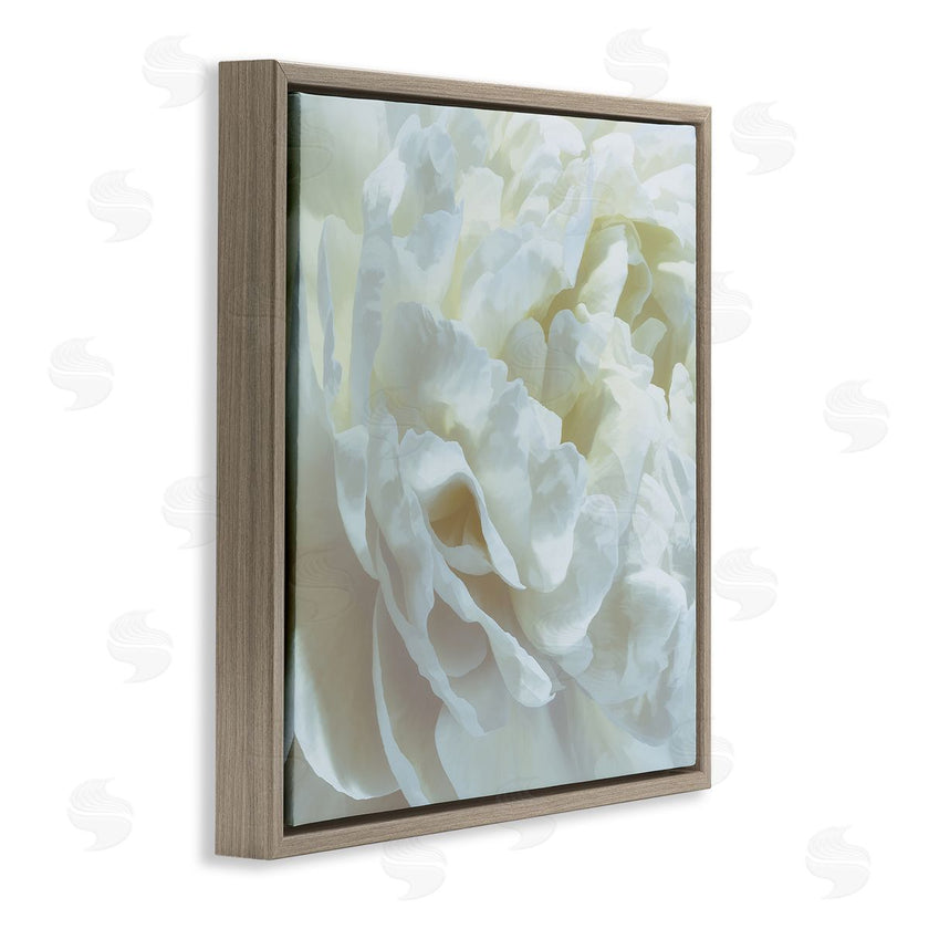 David Pollard | Elegant White Petals