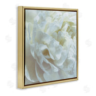 David Pollard | Elegant White Petals
