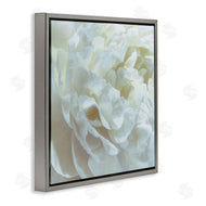 David Pollard | Elegant White Petals