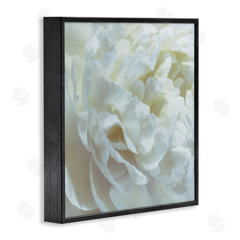 David Pollard | Elegant White Petals