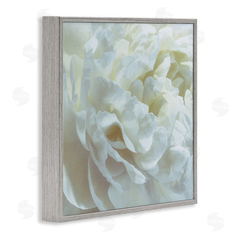 David Pollard | Elegant White Petals
