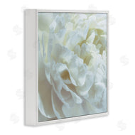 David Pollard | Elegant White Petals