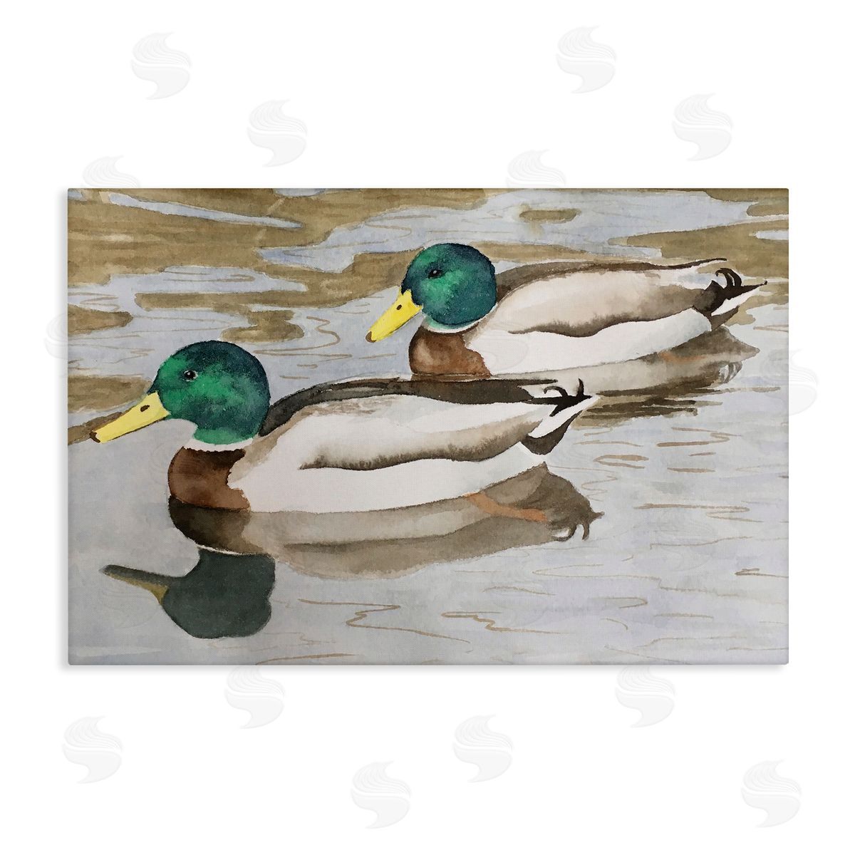 Mallard Ducks Pair Canvas Wall Art, Home Decor by Stephanie Fielden