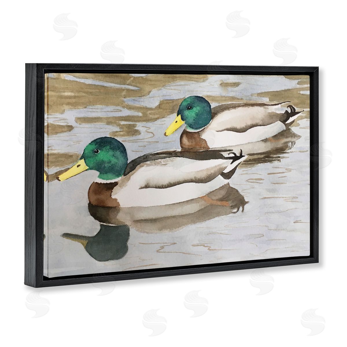 Mallard Ducks Pair Black Floating Frame Canvas Wall Art, Home Decor by Stephanie Fielden