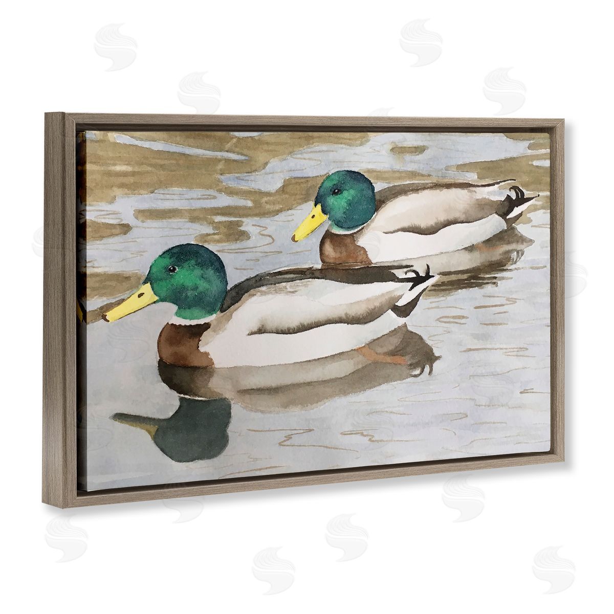 Mallard Ducks Pair Brown Floating Frame Canvas Wall Art, Home Decor by Stephanie Fielden