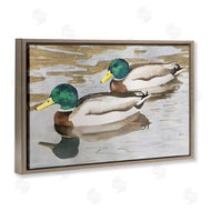 Stephanie Fielden | Mallard Ducks Pair