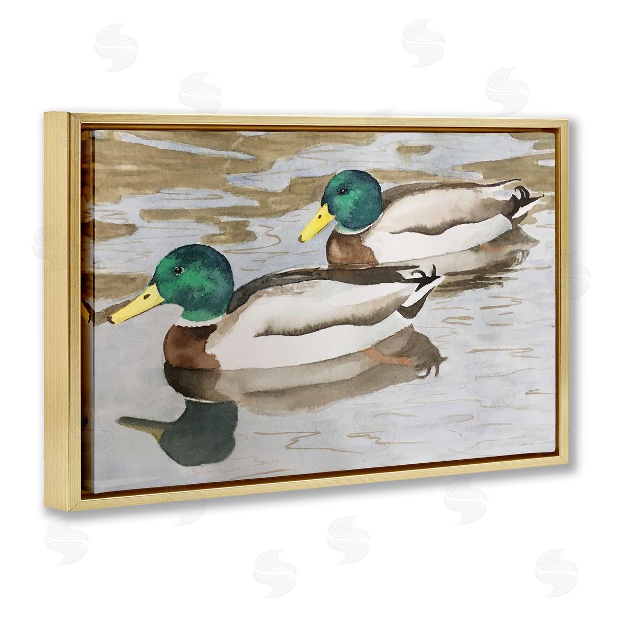 Mallard Ducks Pair Gold Floating Frame Canvas Wall Art, Home Decor by Stephanie Fielden