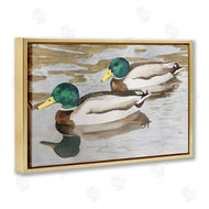 Stephanie Fielden | Mallard Ducks Pair