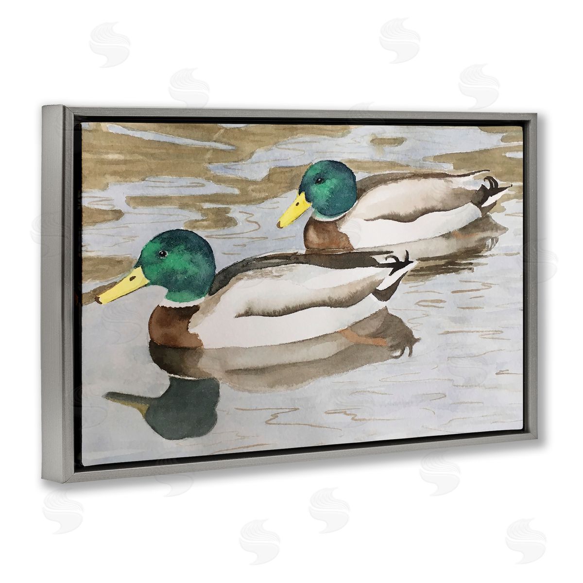 Mallard Ducks Pair Grey Floating Frame Canvas Wall Art, Home Decor by Stephanie Fielden