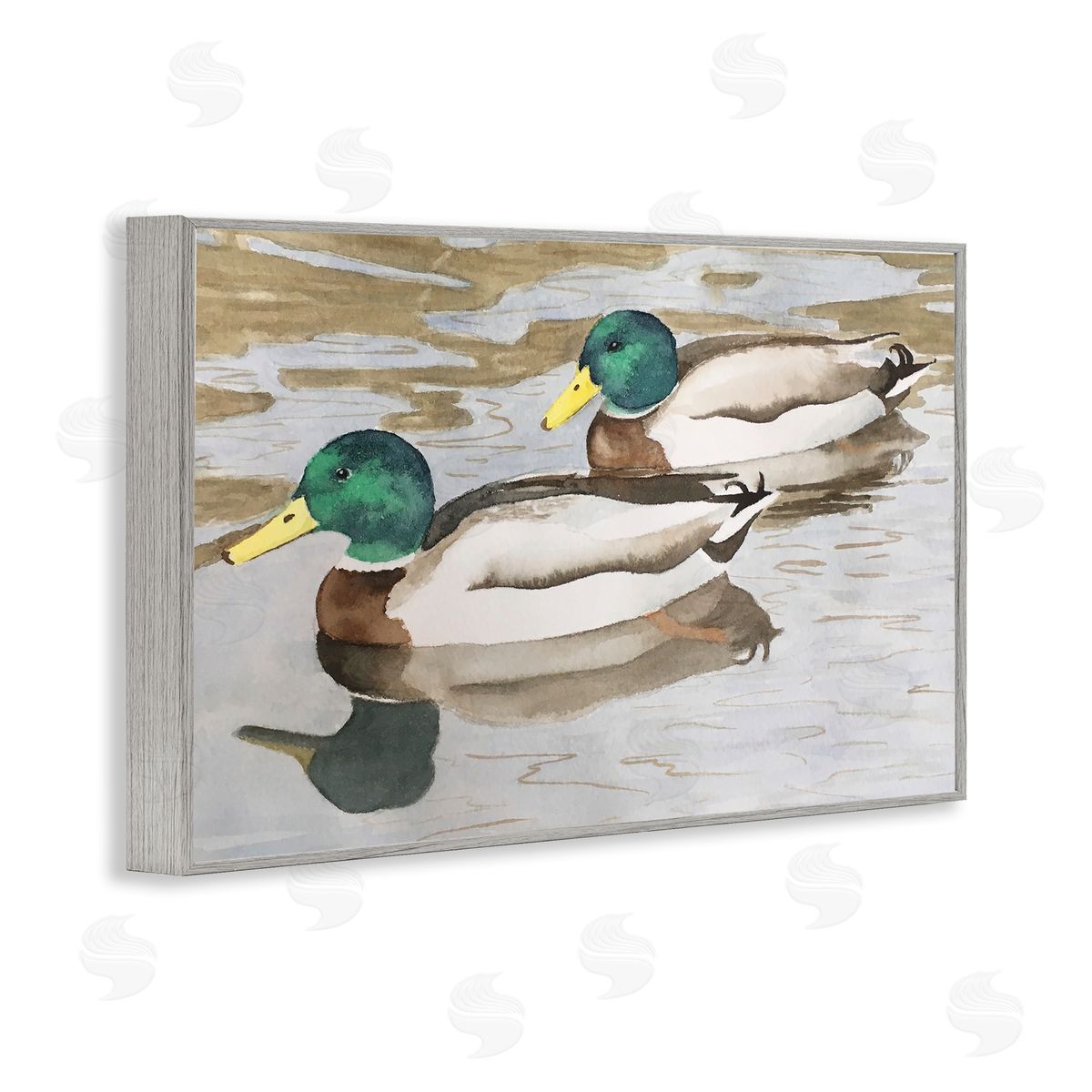 Mallard Ducks Pair Grey Frame Print Wall Art, Home Decor by Stephanie Fielden