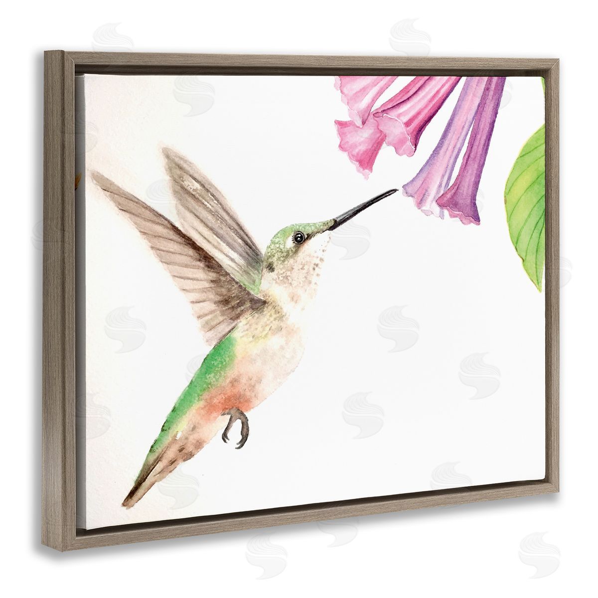 Hummingbird & Bluebell Flower Brown Floating Frame Canvas Wall Art, Home Decor by Stephanie Fielden