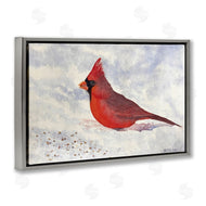 Stephanie Fielden | Red Cardinal in Snow