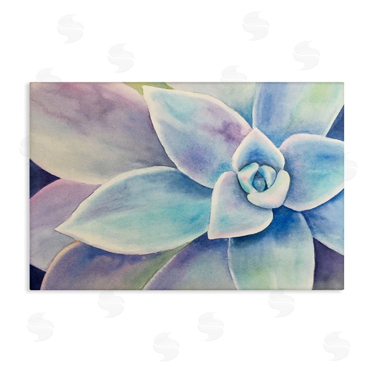 Cool Toned Succulent Leaves Canvas Wall Art, Home Decor by Stephanie Fielden