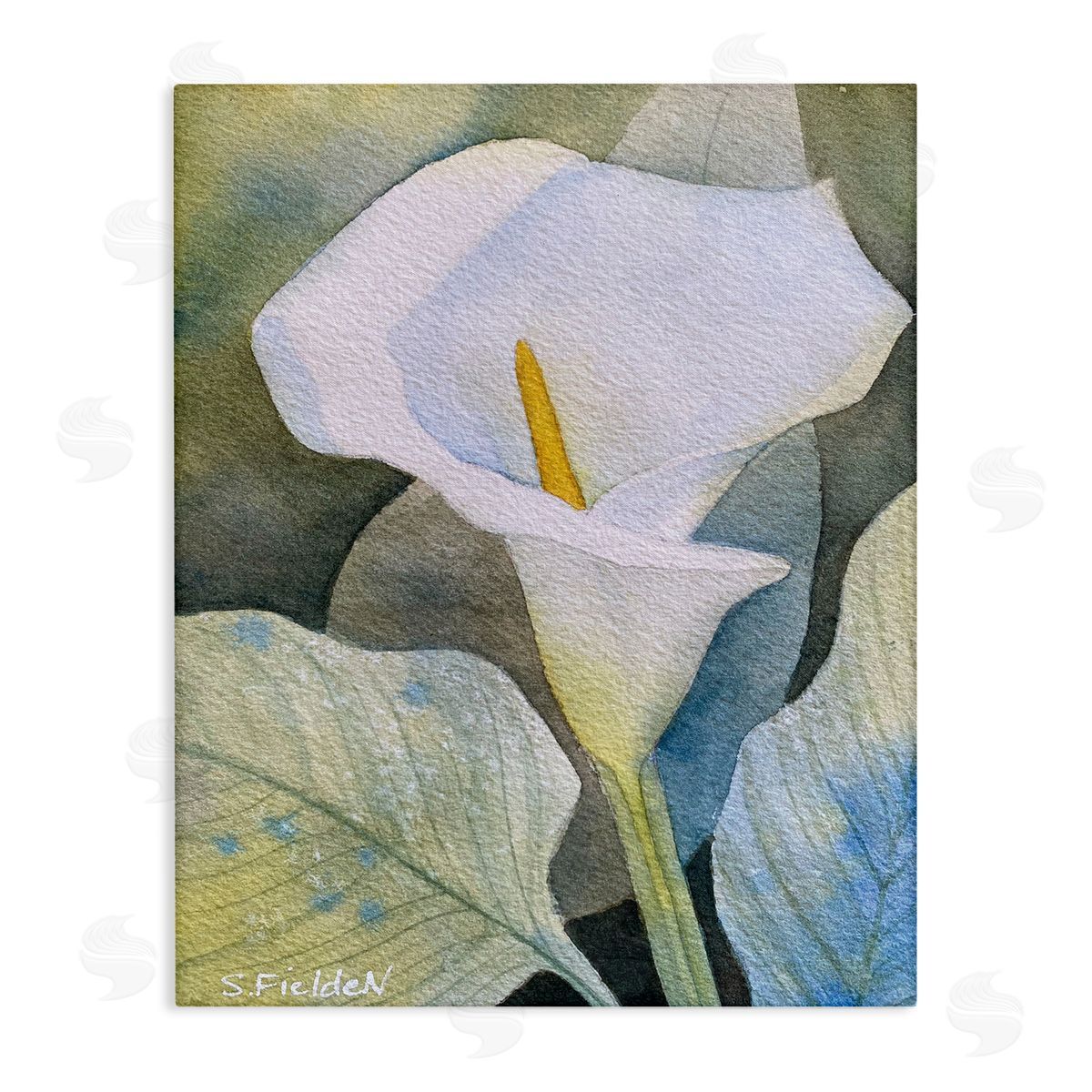 Garden Calla Lily Bloom Canvas Wall Art, Home Decor by Stephanie Fielden
