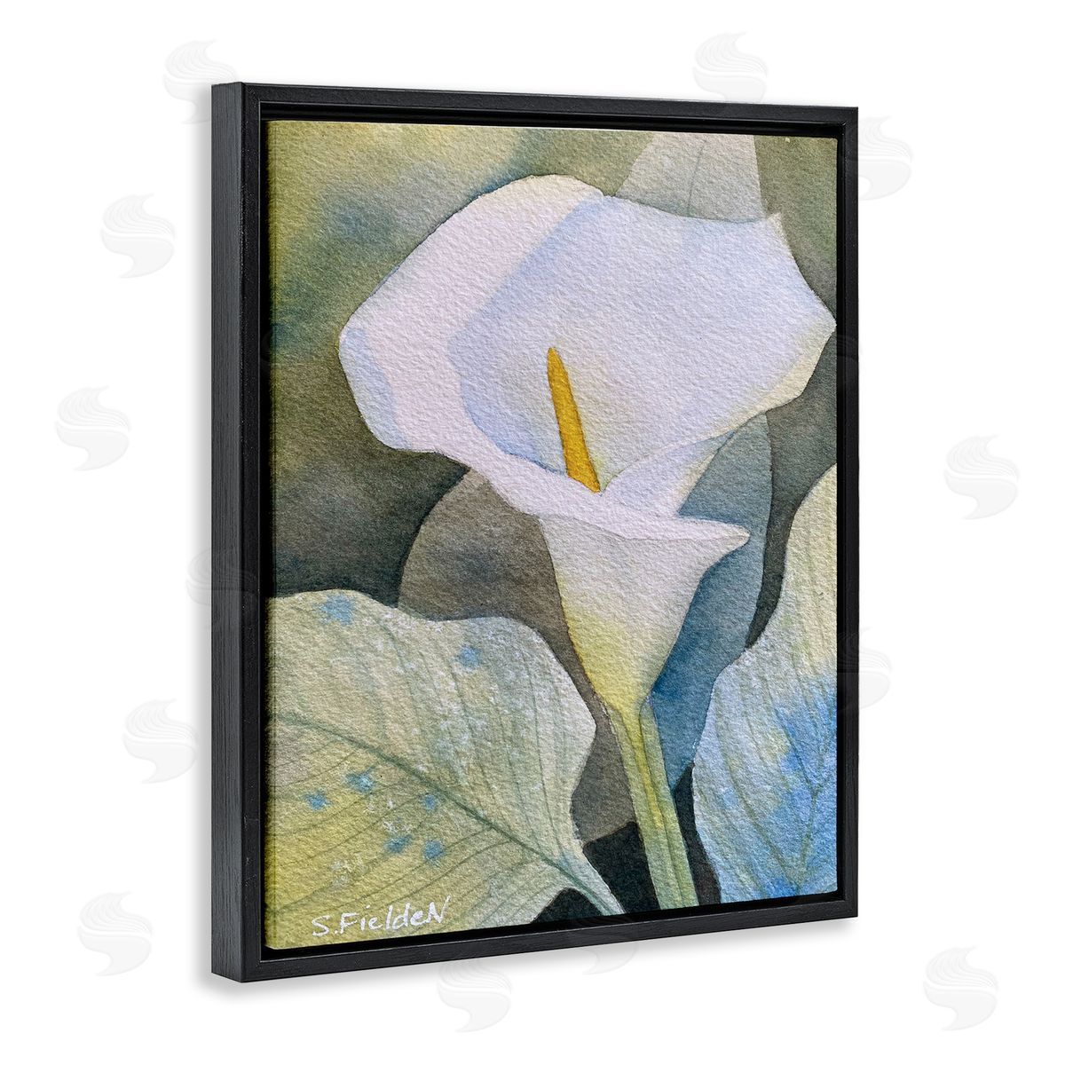 Garden Calla Lily Bloom Black Floating Frame Canvas Wall Art, Home Decor by Stephanie Fielden