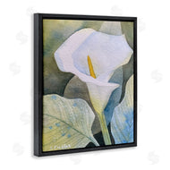 Stephanie Fielden | Garden Calla Lily Bloom