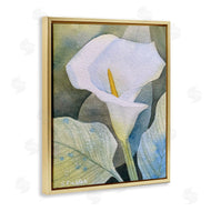 Stephanie Fielden | Garden Calla Lily Bloom
