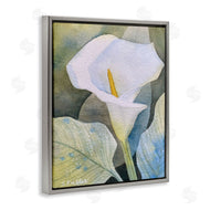 Stephanie Fielden | Garden Calla Lily Bloom