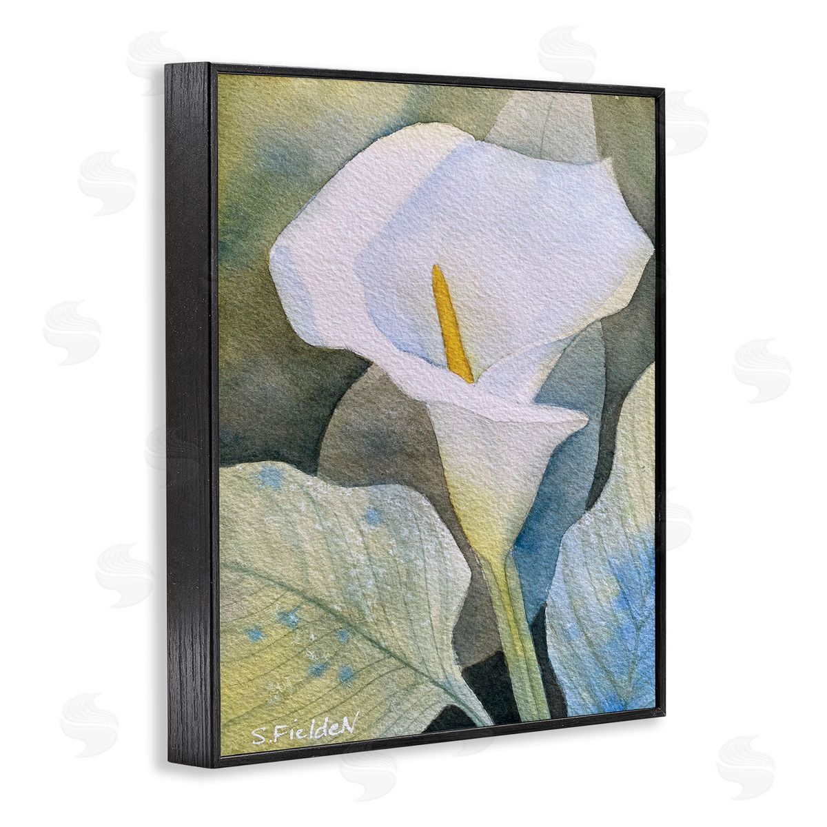 Garden Calla Lily Bloom Black Frame Print Wall Art, Home Decor by Stephanie Fielden