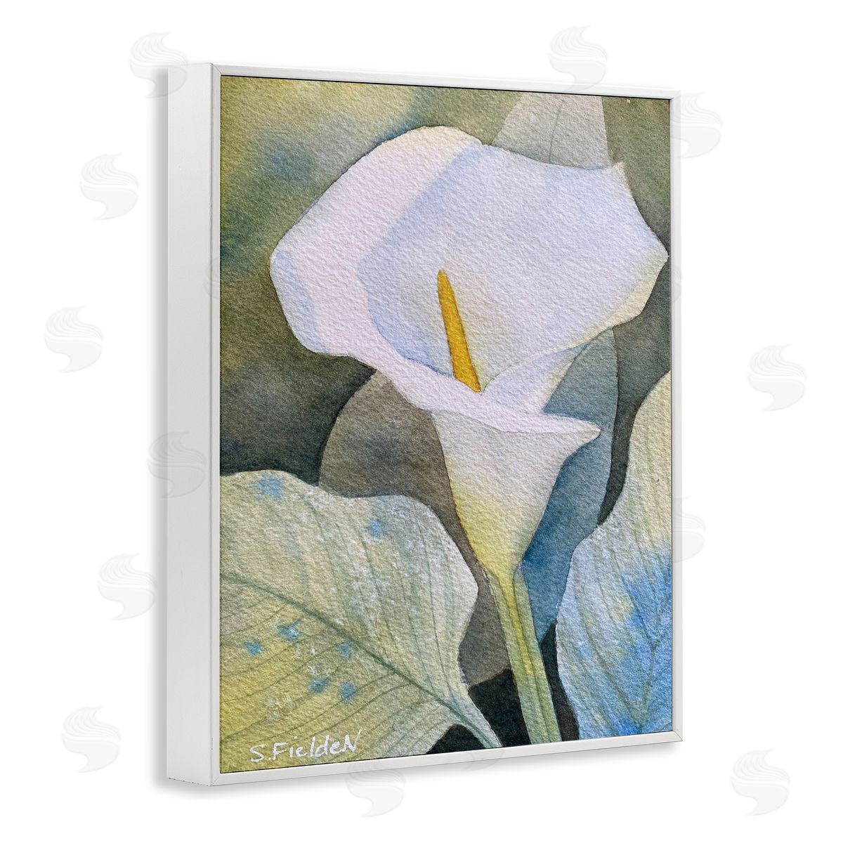 Garden Calla Lily Bloom White Frame Print Wall Art, Home Decor by Stephanie Fielden