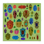 Kay Widdowson | Flowery Bugs & Insects