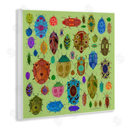 Kay Widdowson | Flowery Bugs & Insects