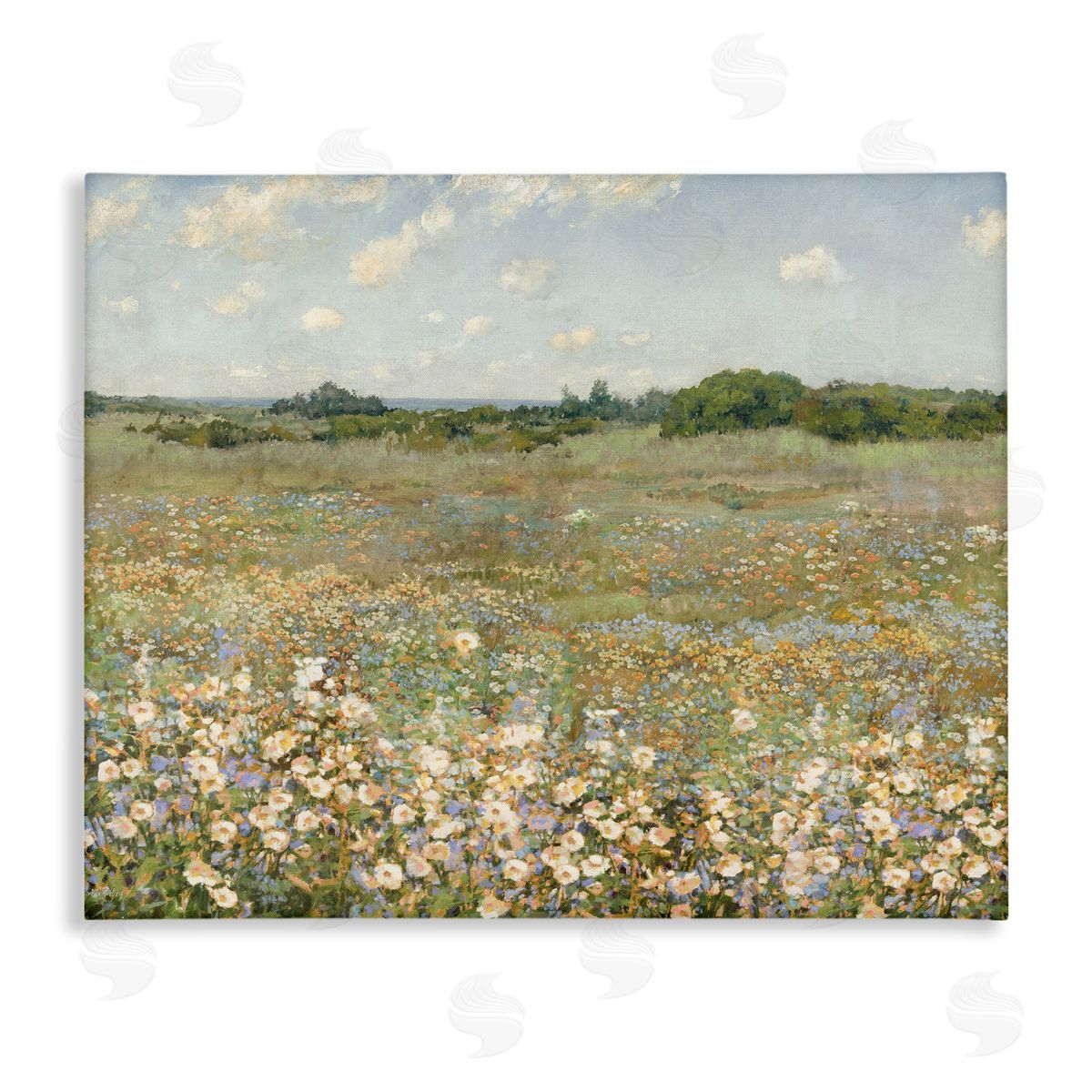 Vast Flower Speckled Meadow Canvas Wall Art, Home Decor by Amber Sterling