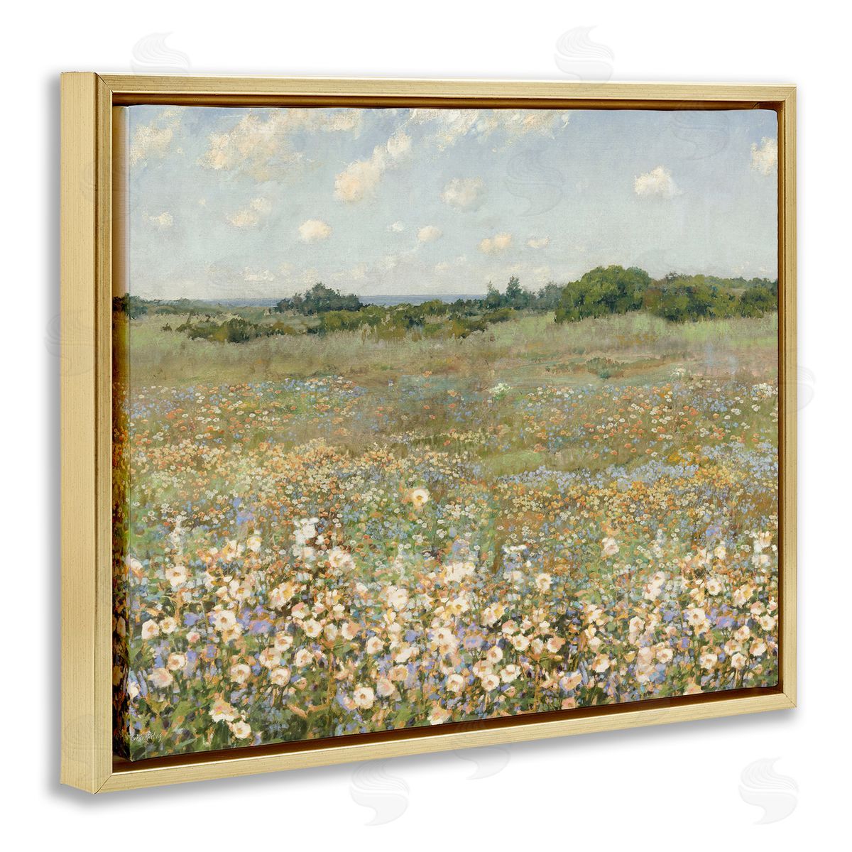 Vast Flower Speckled Meadow Gold Floating Frame Canvas Wall Art, Home Decor by Amber Sterling